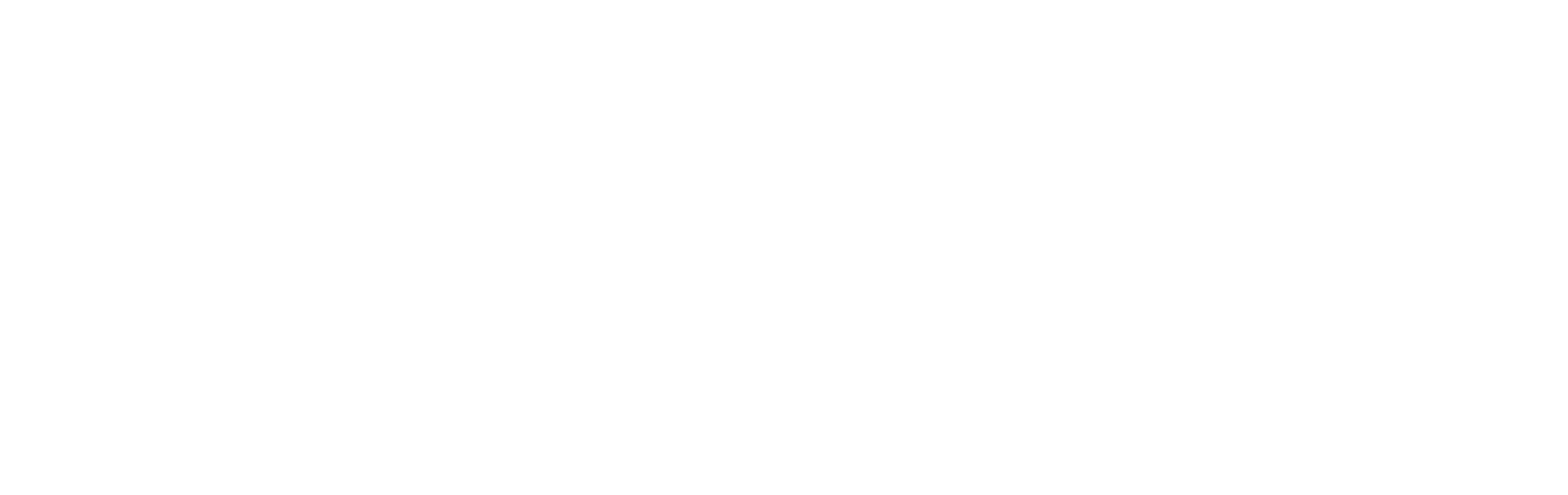 Chandler Insurance Agency Logo